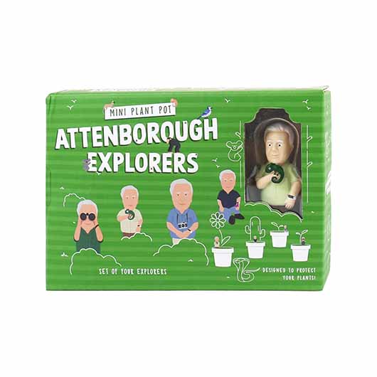Mini Plant Pot – Attenborough Explorers (Set of 4)