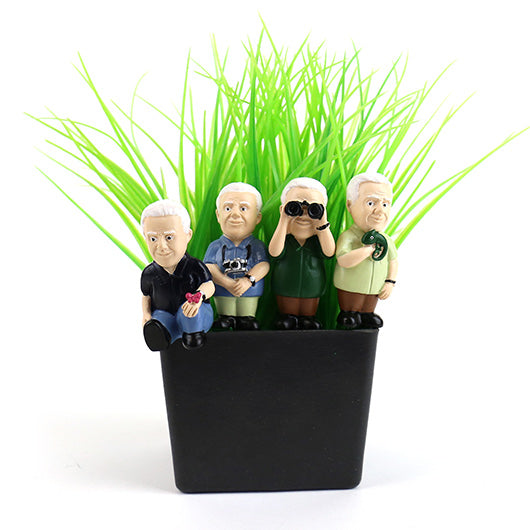Mini Plant Pot – Attenborough Explorers (Set of 4)