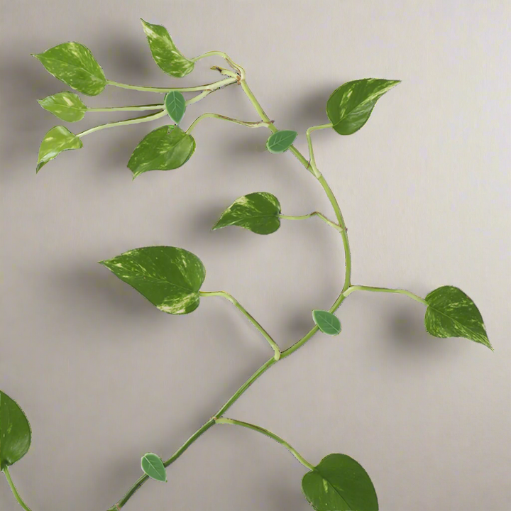 Leaf plant clip set of 10