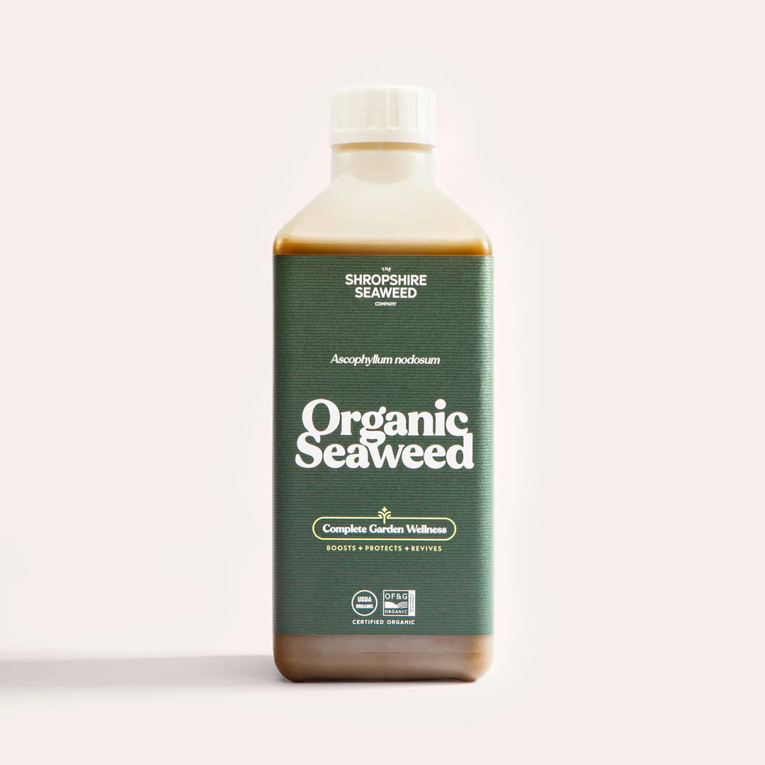 Organic Seaweed