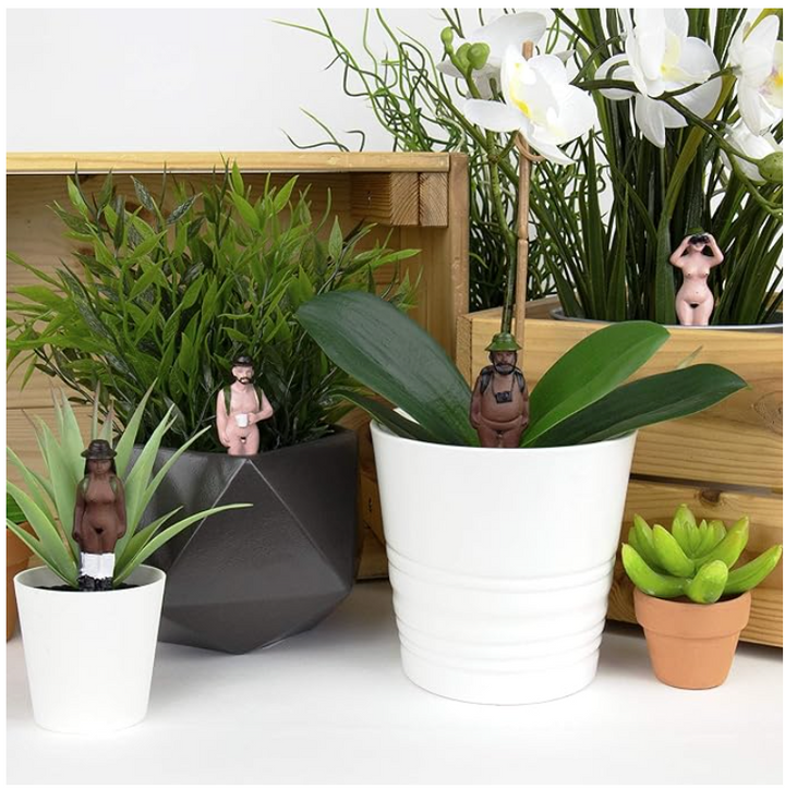 Mini Plant Pot – Naked Ramblers (Set of 4)