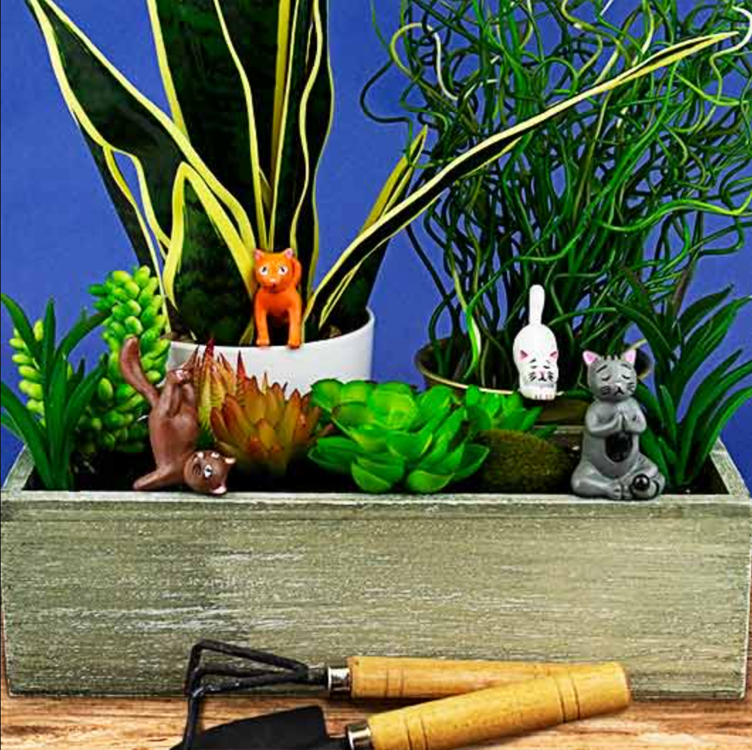 Mini Plant Pot Yoga Cats