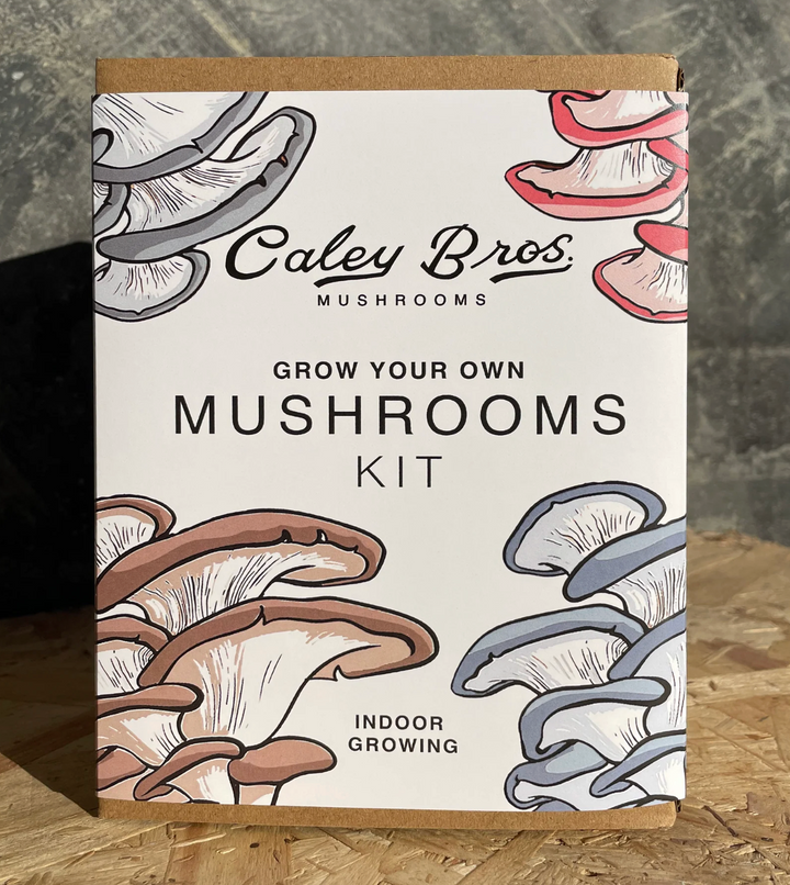 Mushroom Gift Box