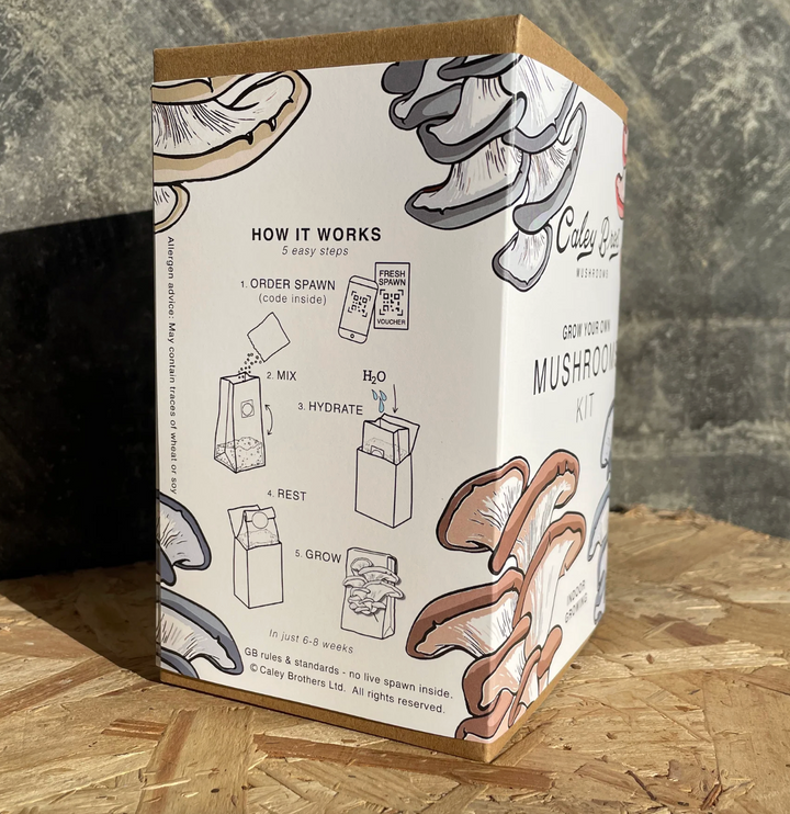 Mushroom Gift Box