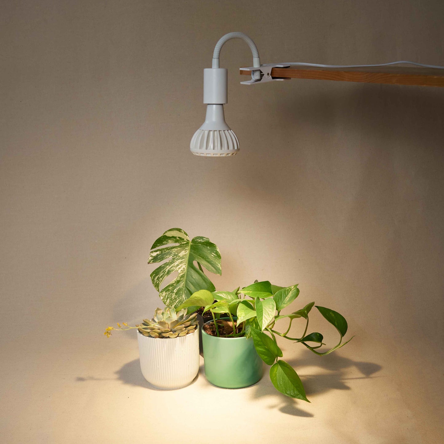 Stelo Gooseneck Clip-On Bulb Holder