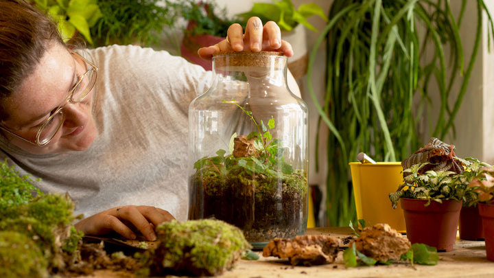 Build Your Own Closed Jungle Terrarium