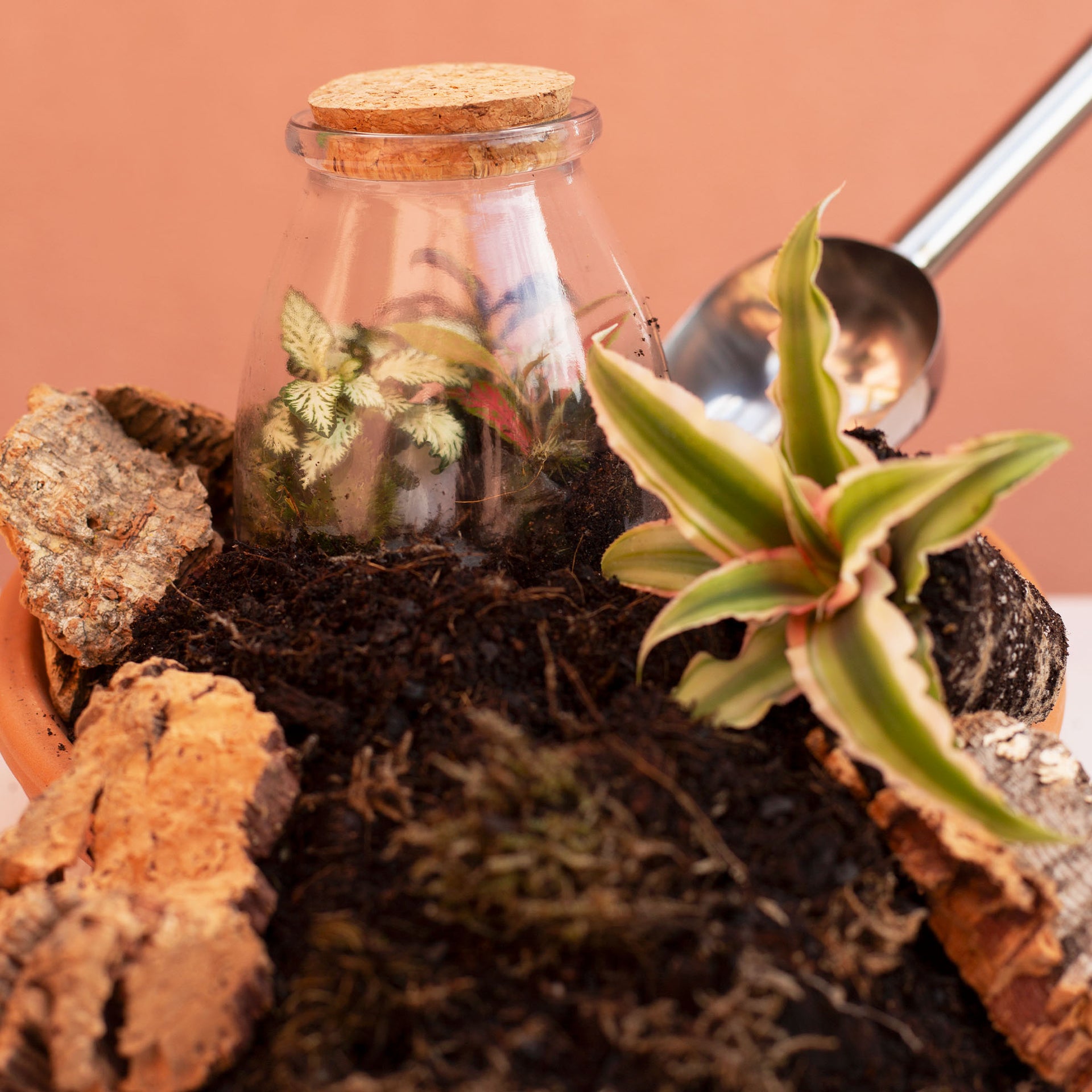 terrarium potting mix Terrarium Soil Mix – Ideal for Closed & Open Terrariums