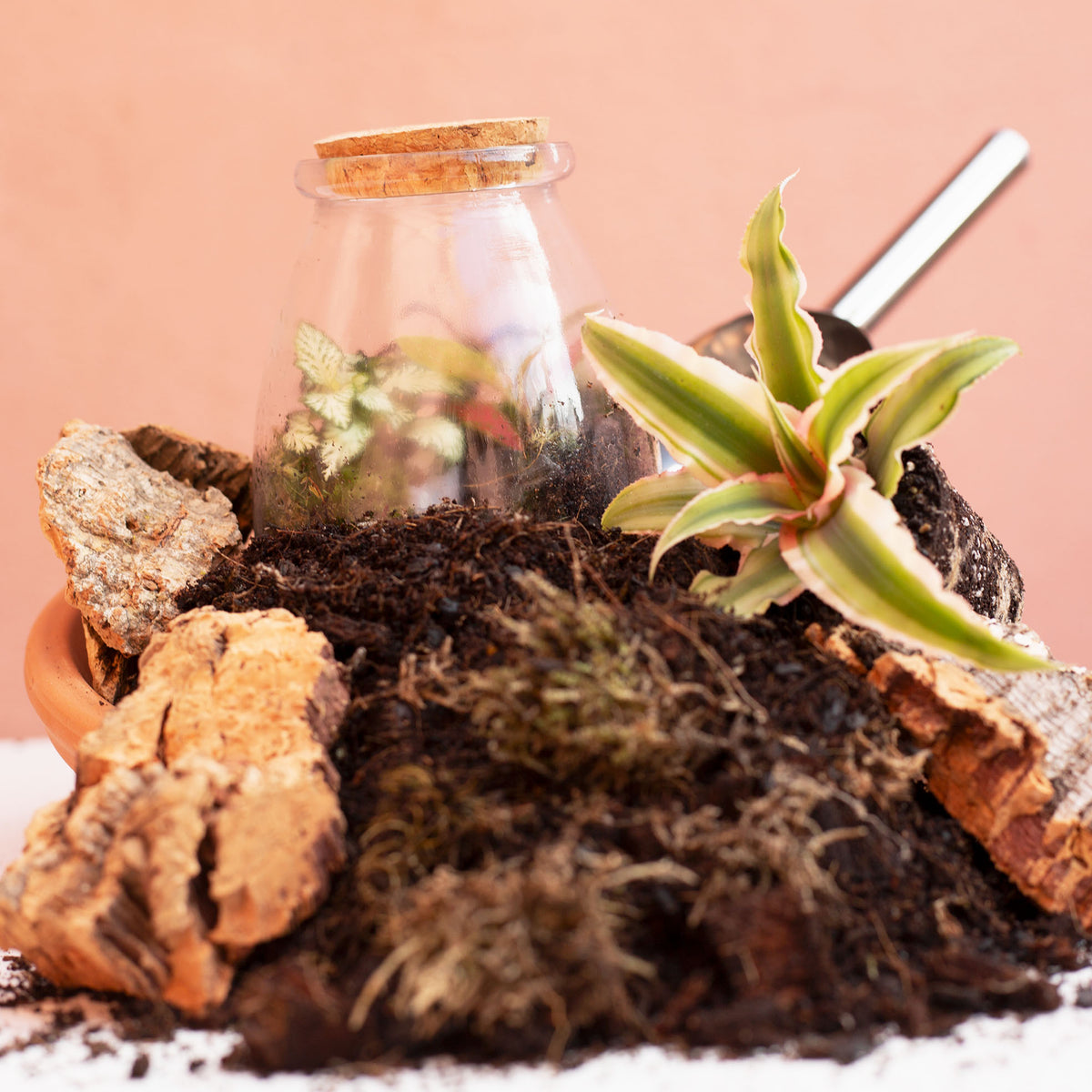 Terrarium Soil Mix – Ideal for Closed & Open Terrariums | Plant Studio