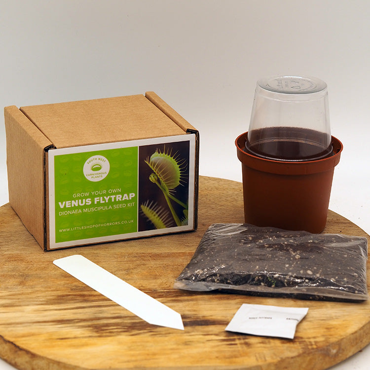 Mixed Carnivorous Plants Seed Kit