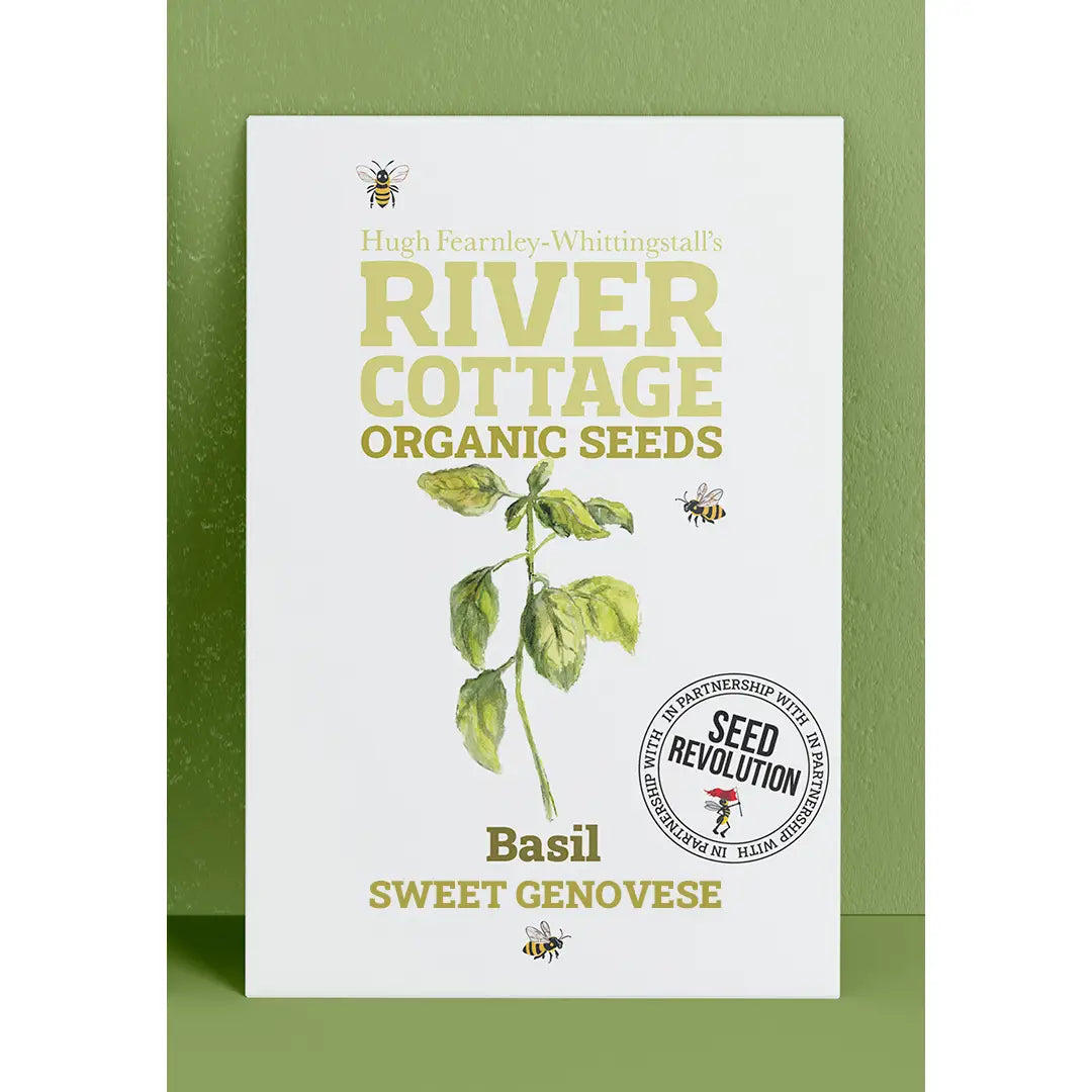 Organic Basil Seeds Sweet Genovese | River Cottage