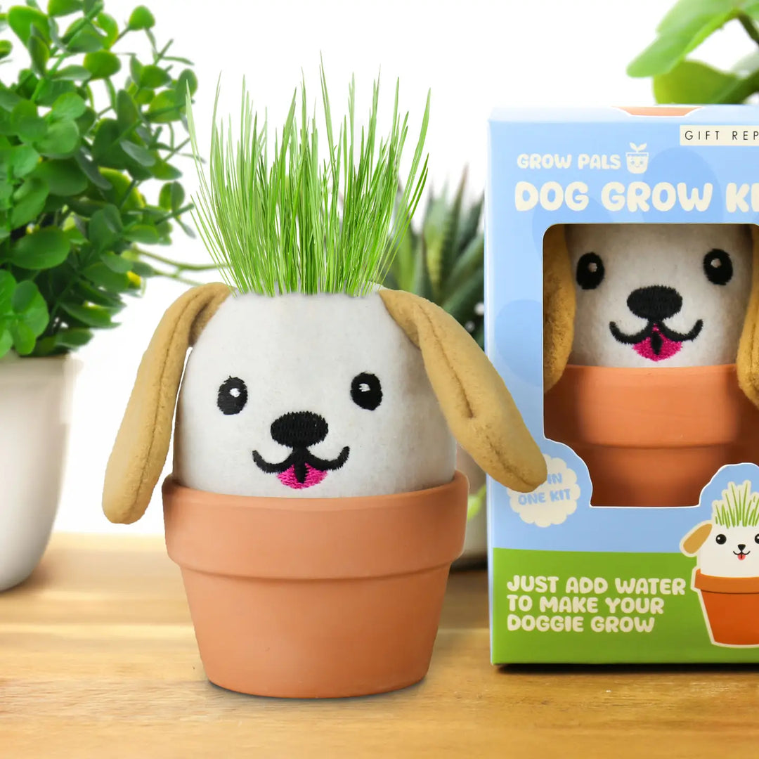 plant pot dog Dog Grow Kit – Cute Grow Pals Gift