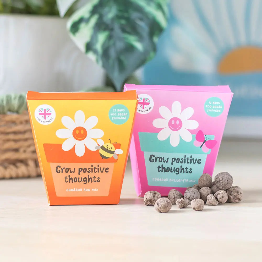 Bee and Butterfly Seed Ball Pack