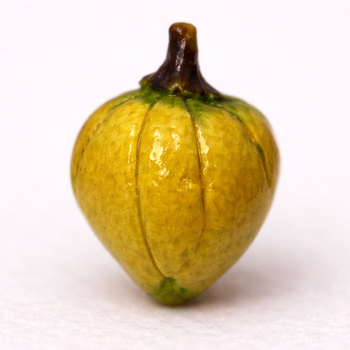 Mini Ceramic Fruit and Vegetable - lucky dip