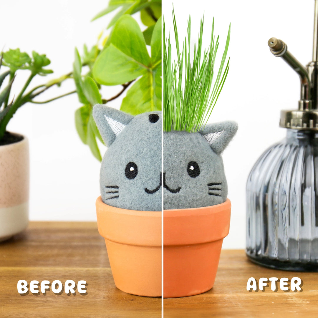 Cat Grow Kit – Grow Pals Collection