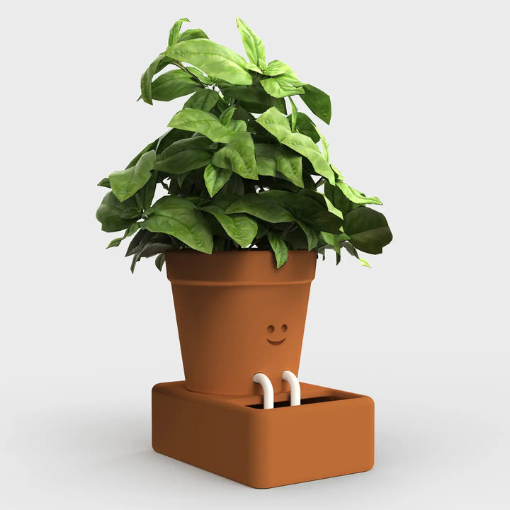 Self Care Planter | Self Watering Plant Pot | Home Accents