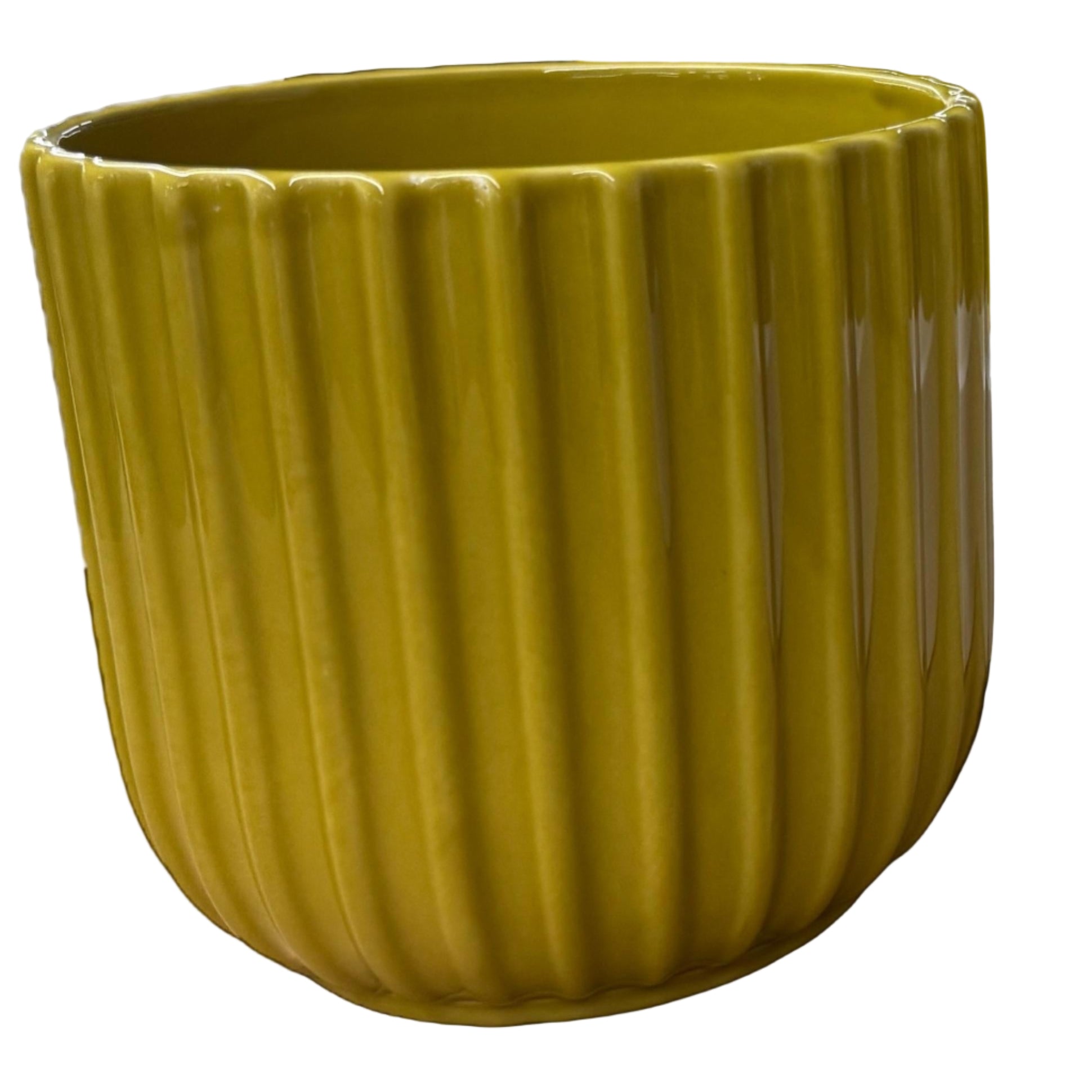 Plant Pots