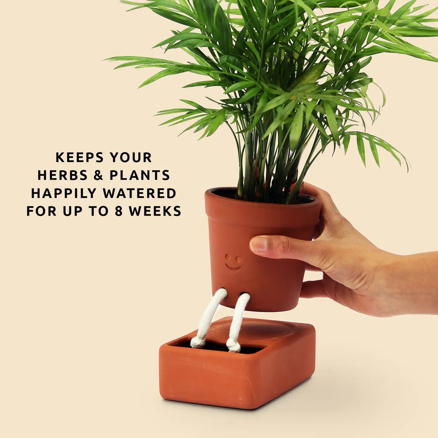 Self Care Planter | Self Watering Plant Pot | Home Accents