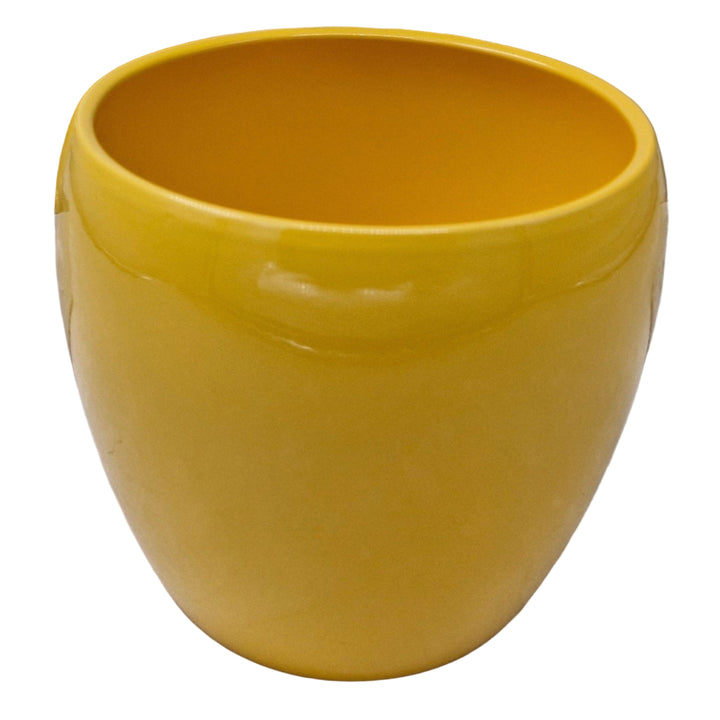 Gloss Colour Ceramic Pot  (15 × 13 cm)