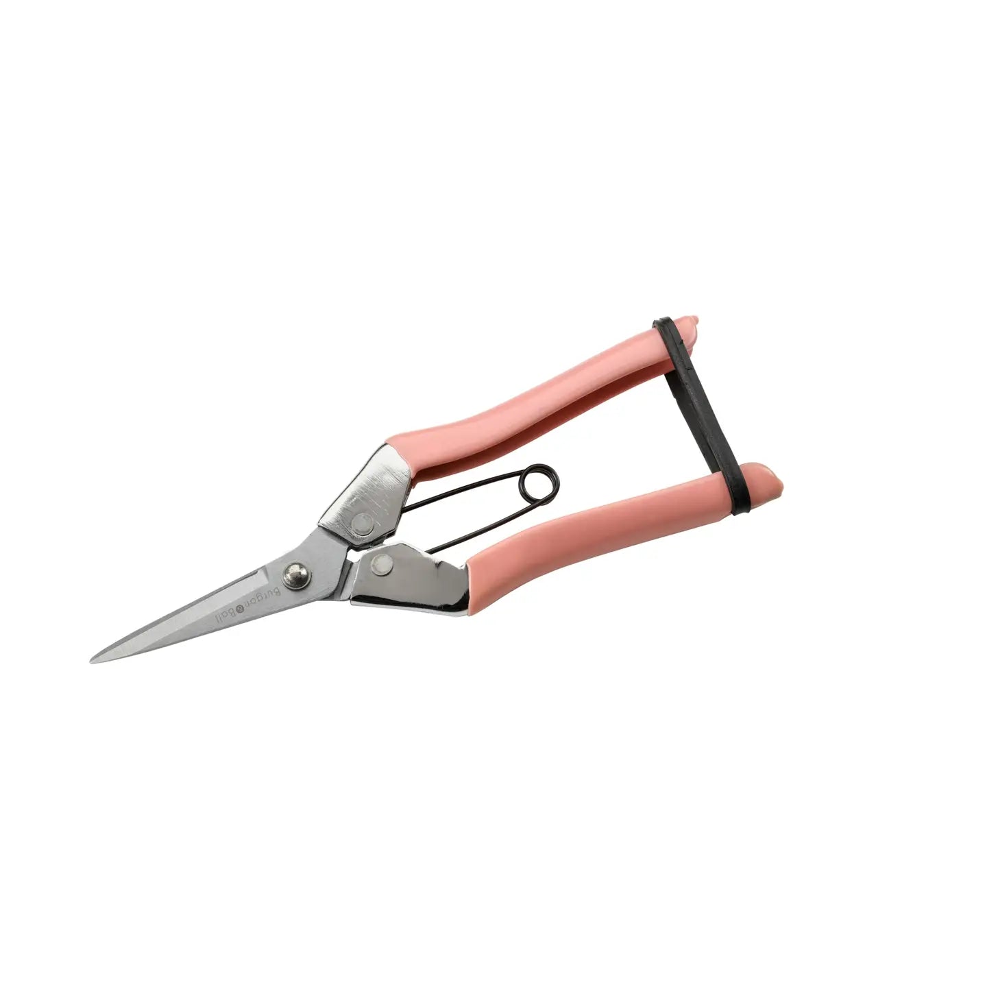 Collectors Blush Fruit and Flower Snips