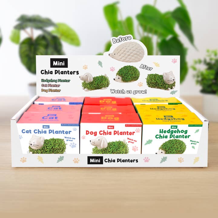 Mini chia pet planters in Cat, Dog and Hedgehog designs
