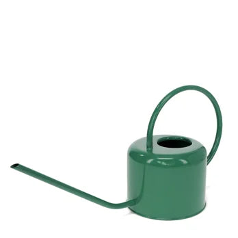 Green one litre metal watering can