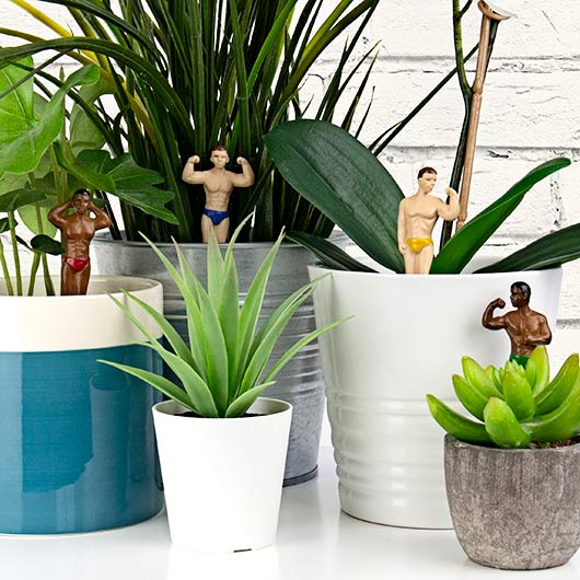 Mini Plant Pot – Hunks (Set of 4)