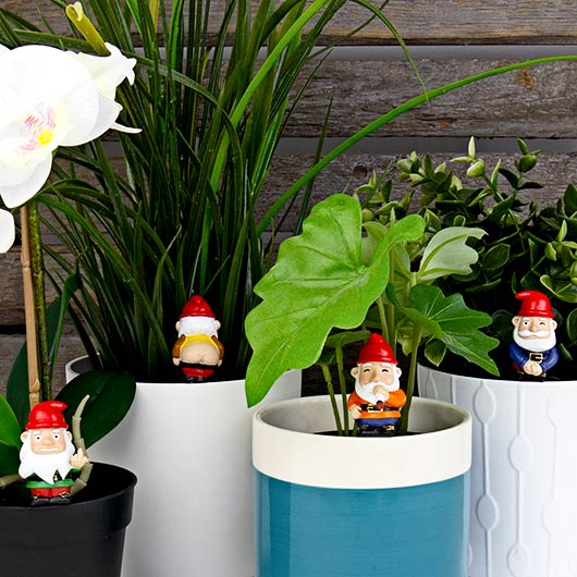 Mini Plant Pot – Naughty Gnomes (Set of 4)
