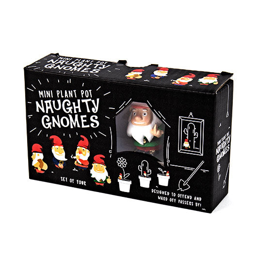 Mini Plant Pot – Naughty Gnomes (Set of 4)