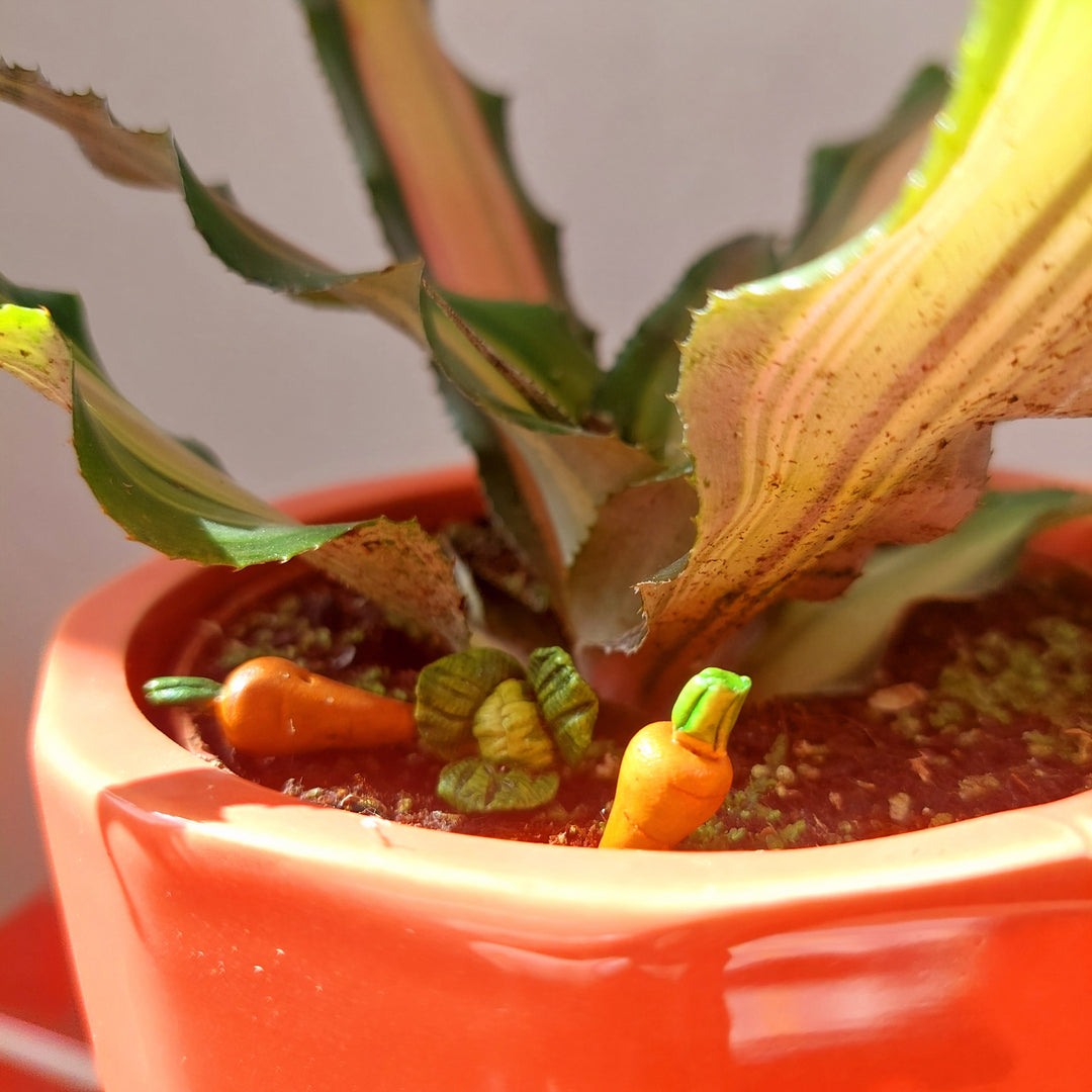 Mini Ceramic Fruit and Vegetable - lucky dip