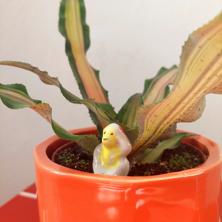 Mini Ceramic animals - lucky dip