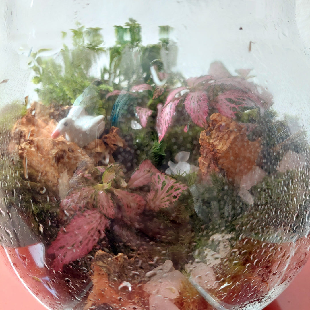 Plant.Studio 'Barbie Swan Princess' Terrarium