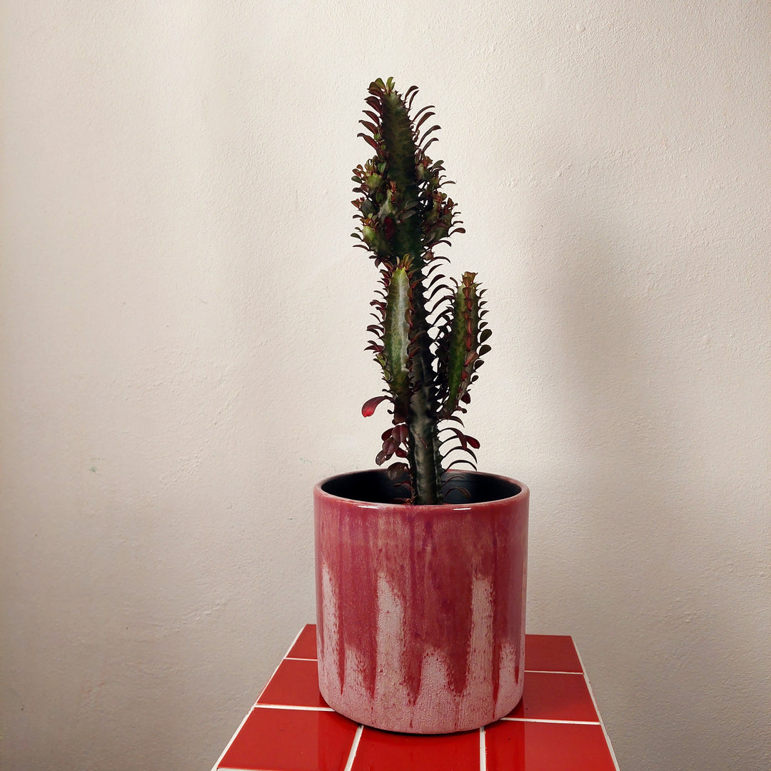 Porches Ceramic Planter – Lilac Drip Glaze