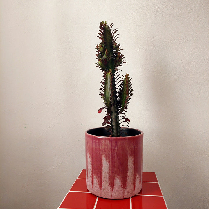 Porches Ceramic Planter – Lilac Drip Glaze
