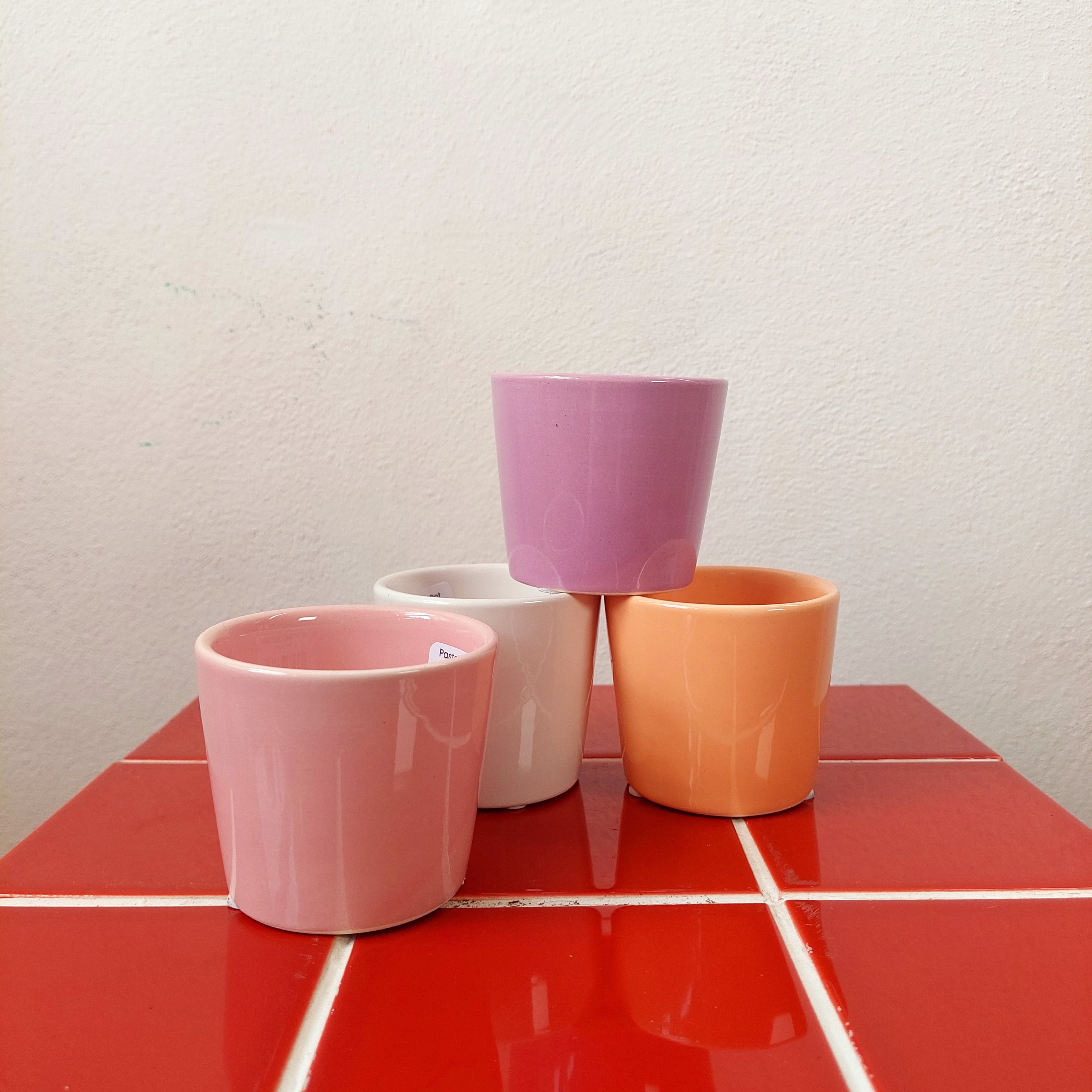 Plant Pots