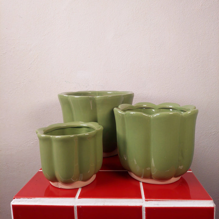 Scalloped Ceramic Plant Pot (Green or Burgundy)