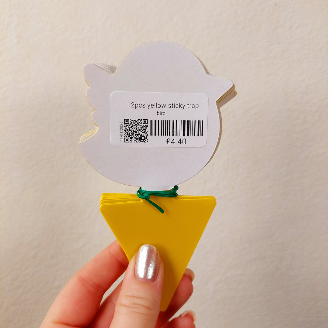 12pcs Yellow Sticky Trap