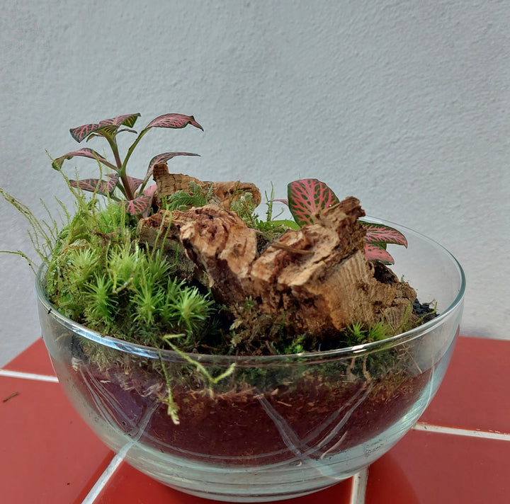 Plant.Studio Terrarium 'Bio-dome'