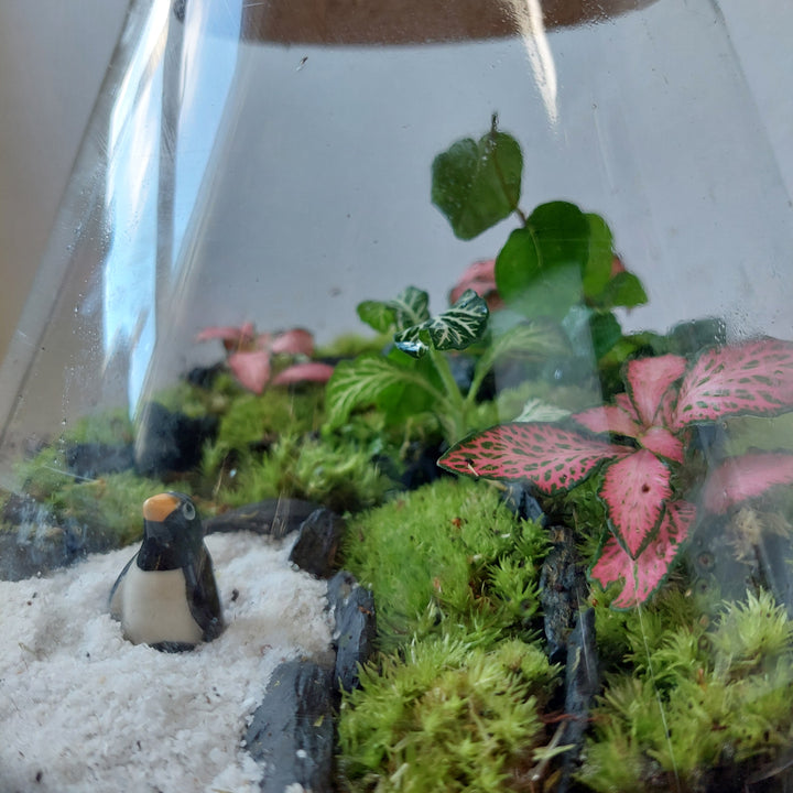 Plant.Studio 'Macbeth' Terrarium