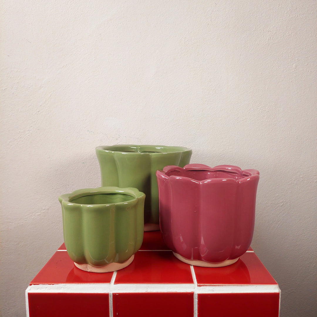 Scalloped Ceramic Plant Pot (Green or Burgundy)