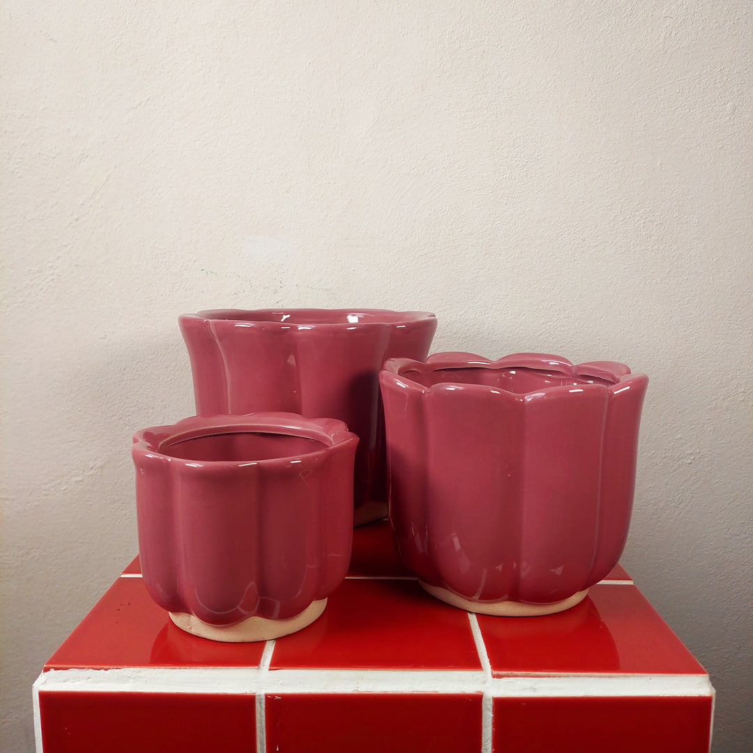 Scalloped Ceramic Plant Pot (Green or Burgundy)