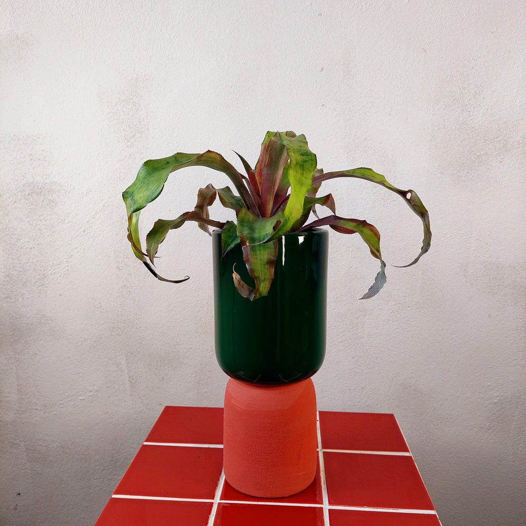 Dublo Green\\terra pot