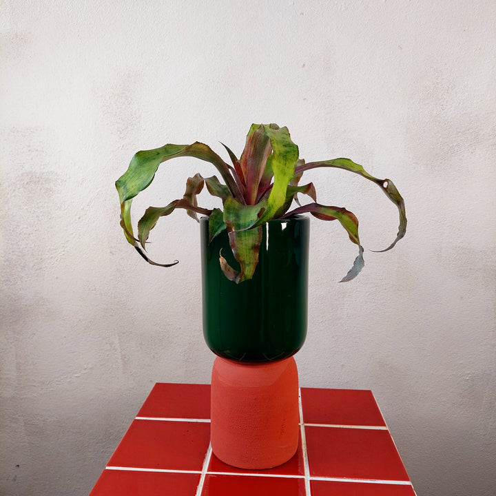 Dublo Green\\terra pot