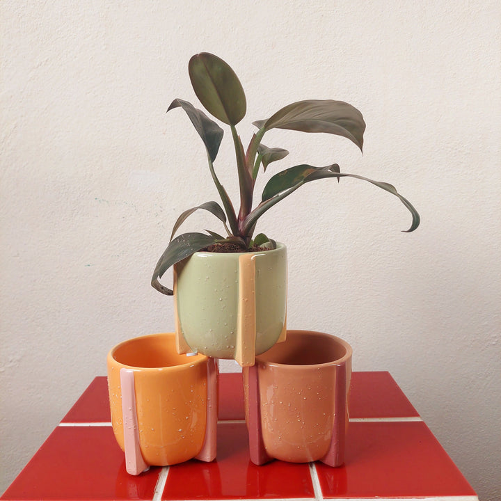 Speckled Ceramic Plant Pot (8cm)