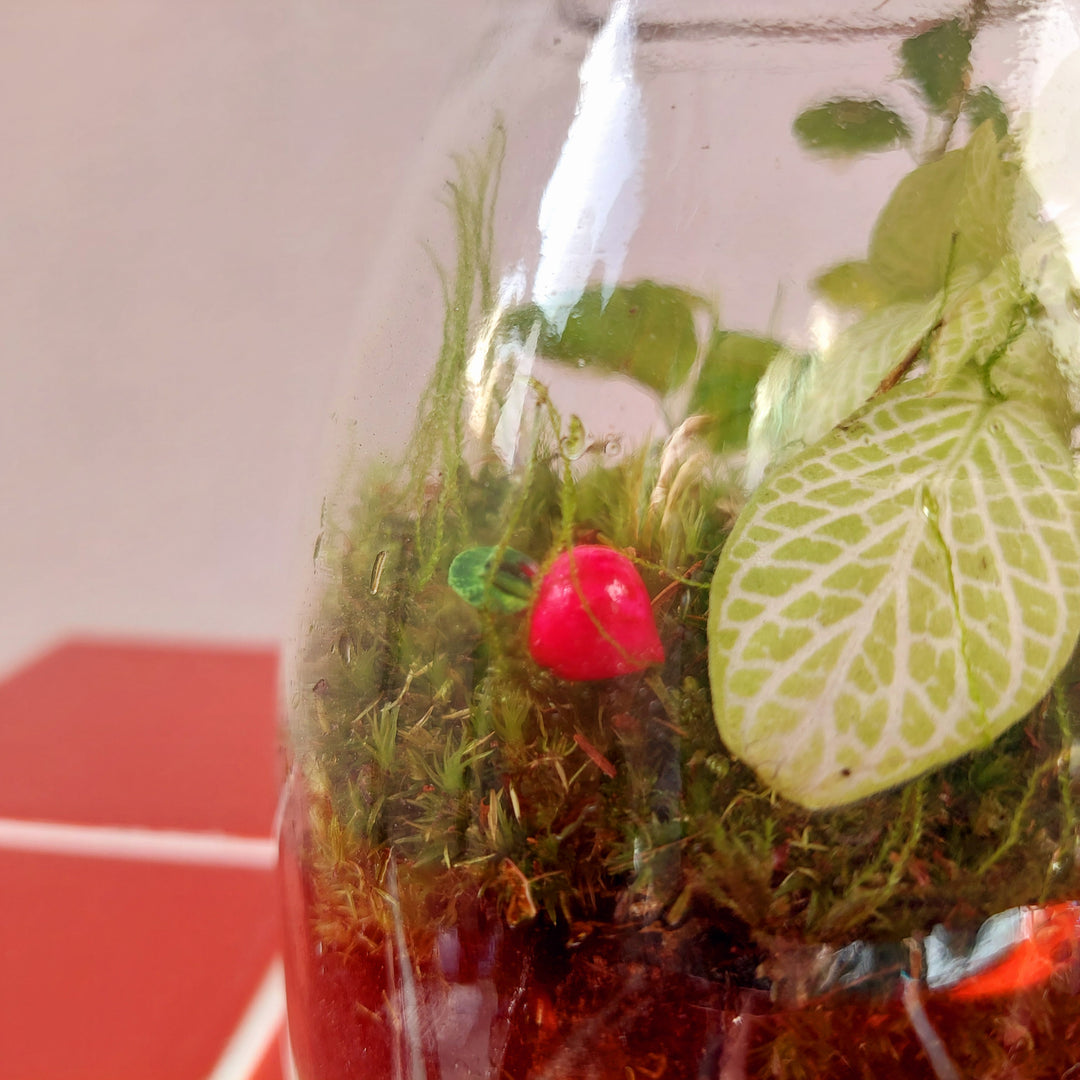 Mini Ceramic Fruit and Vegetable - lucky dip