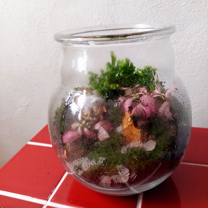 Plant.Studio 'Barbie Swan Princess' Terrarium