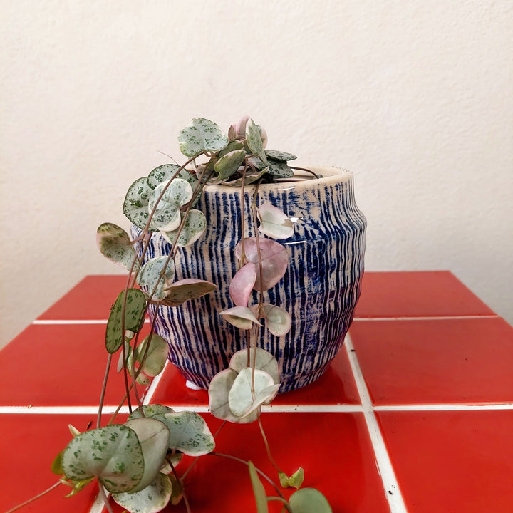 Martha Round Blue Ceramic Pot | D11 × H10 cm