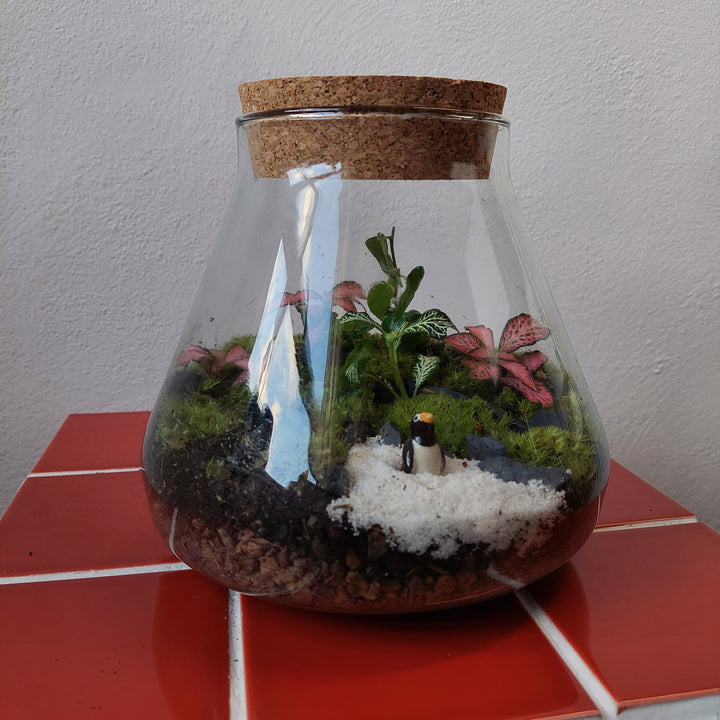 Plant.Studio 'Macbeth' Terrarium