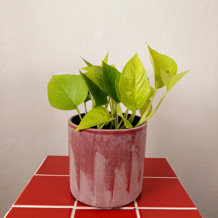 Porches Ceramic Planter – Lilac Drip Glaze