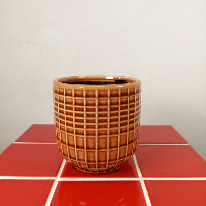 Braga Ceramic Pot