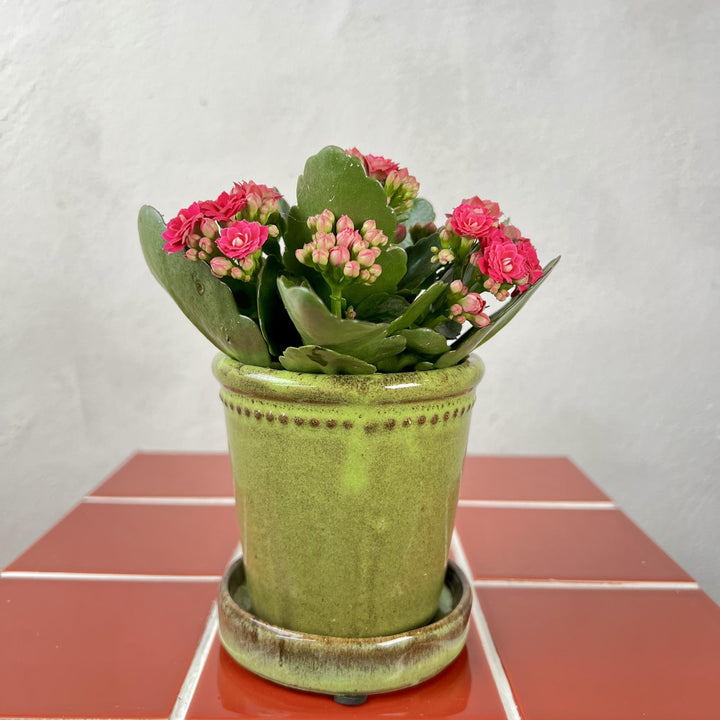 The Shabby Chic Combo